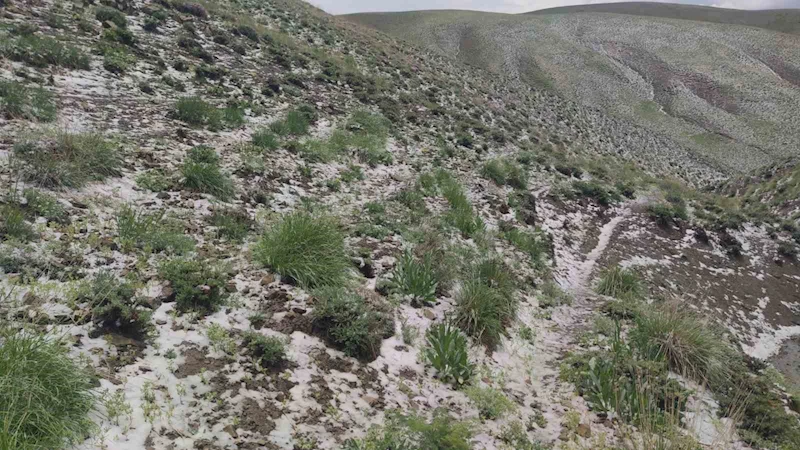 Haziran ayında kar sürprizi: Erek Dağı’nın etekleri beyaza büründü
