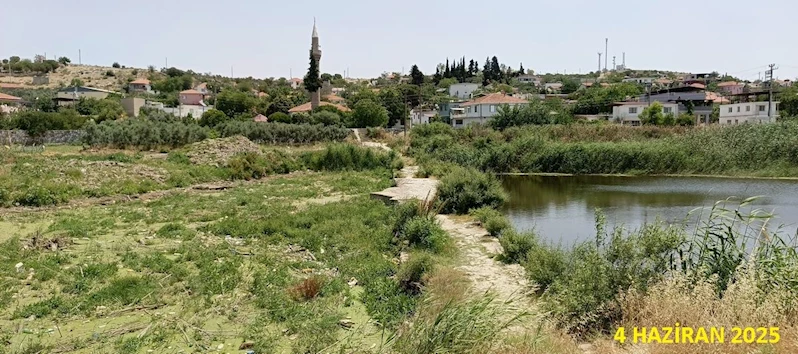 Tarihi köprüde sular yeşillendi, doğaseverler sorunlara dikkat çekti
