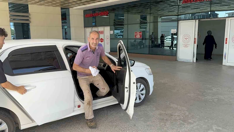 Gelenek yine bozulmadı: Acemi kasaplar hastaneye koştu
