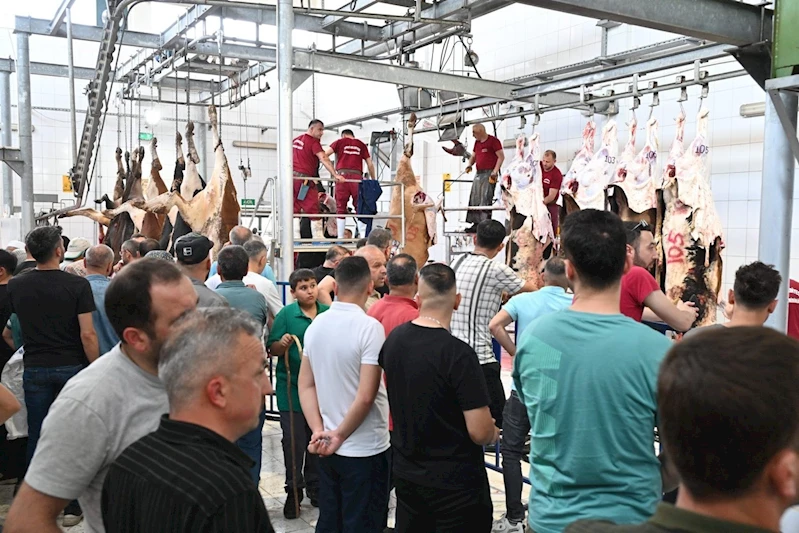 Mezbahada 250 büyükbaş kurban kesimi gerçekleştirildi

