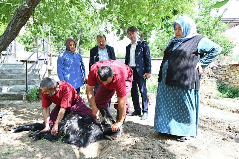 Isparta Belediyesi evlere giderek tek tek kurbanları kesti

