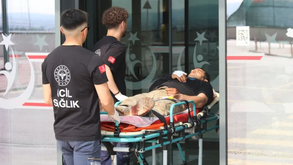 14 bin acemi kasap hastanelik oldu
