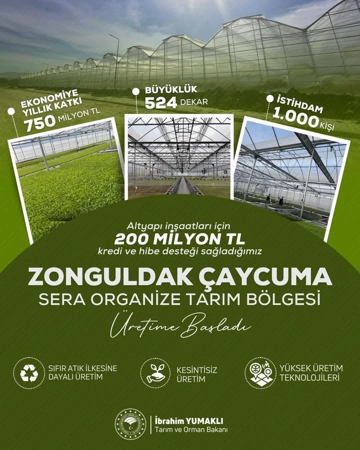 Çaycuma’da Sera Organize Tarım Bölgesi Üretime Başladı

