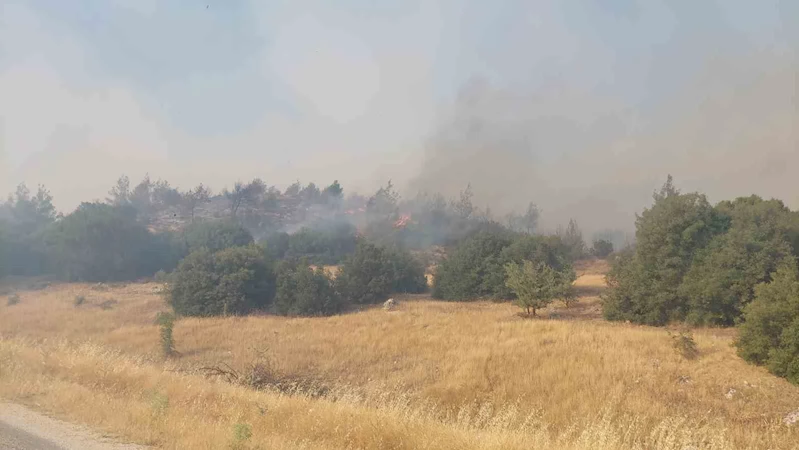 Manisa’daki orman yangınları devam ediyor
