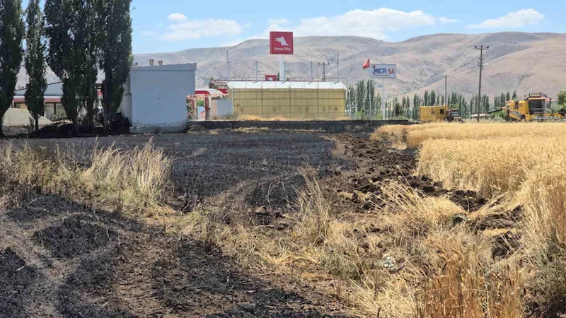 Elazığ’da 23 dönüm buğday, yanarak kül oldu
