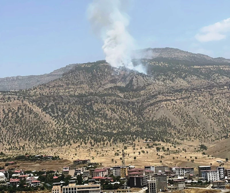 Hakkari’de orman yangını
