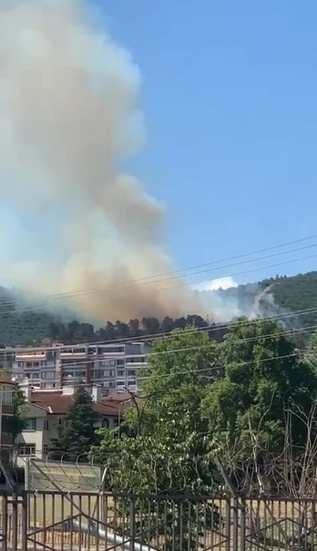 Kocaeli’de orman yangını çıktı
