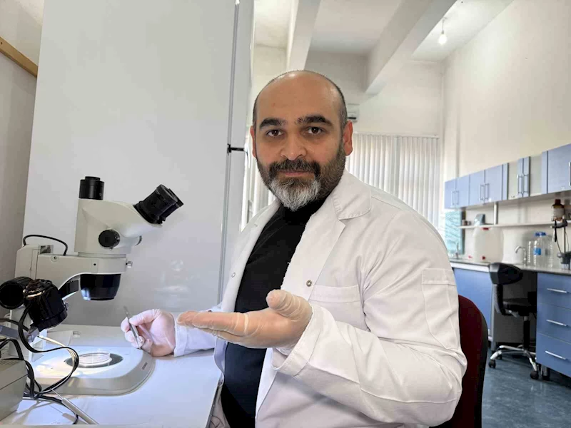 Prof. Dr. Keskin: 