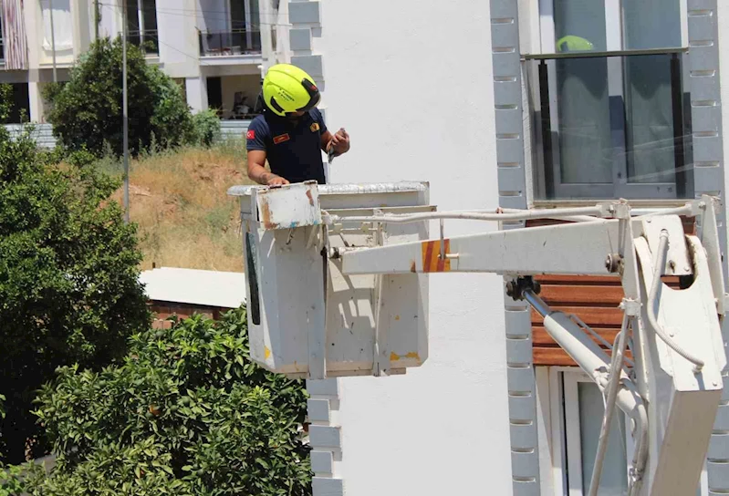 Aydın’da balkonda sıkışan kumruyu vatandaşın dikkati kurtardı
