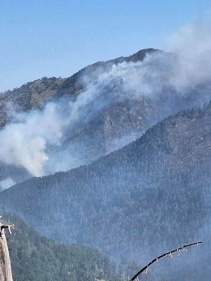 Balkanlar’daki sıcak hava dalgası orman yangınlarına neden oldu
