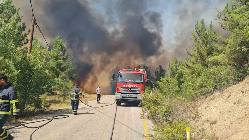 Karabük’te orman yangınında iki mahalle tahliye edildi
