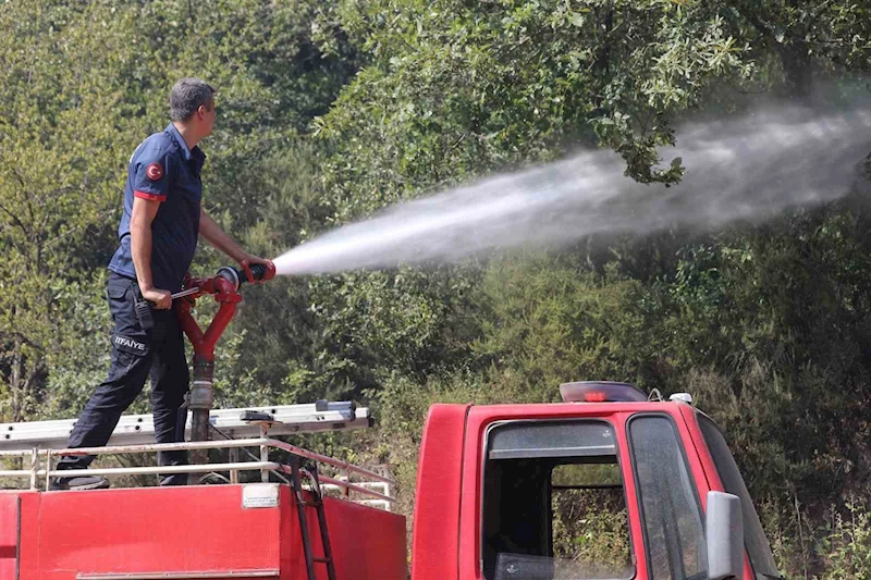 Sakarya’daki yangınlardan 2’si kontrol altında, Geyve’ye müdahale sürüyor
