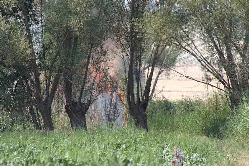 Beyşehir’de biçerdöverde yangın paniği
