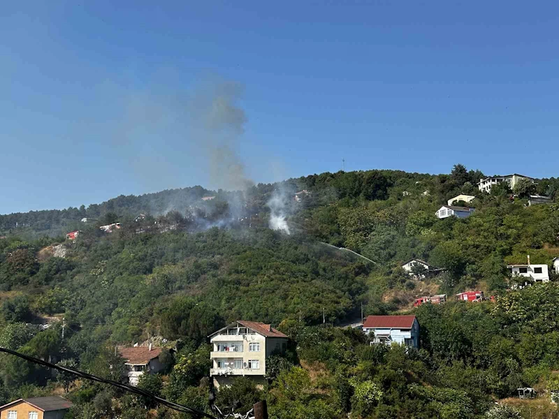 Beykoz’da ormanlık alanda çıkan yangın söndürüldü
