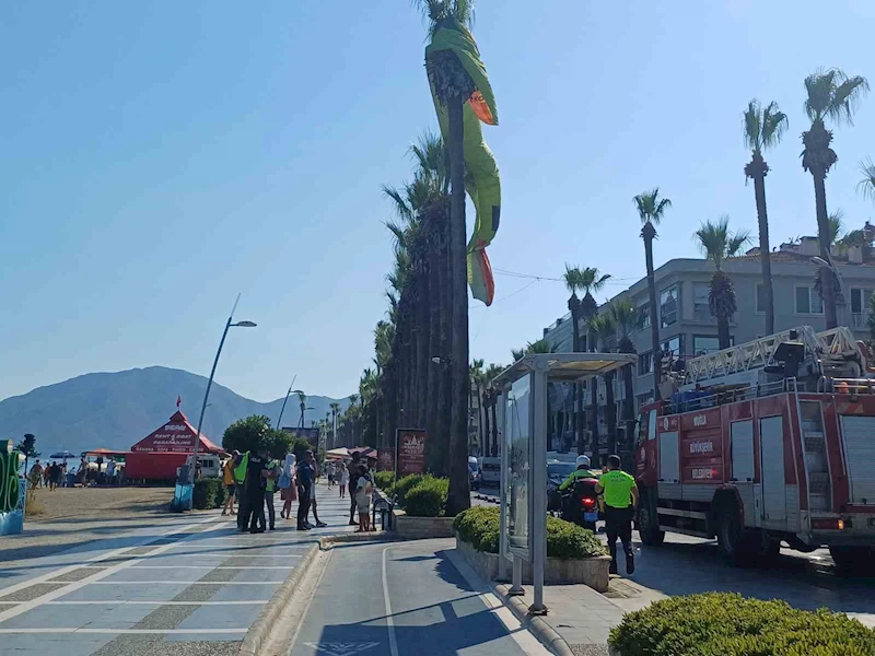 Deniz paraşütü palmiyeye takıldı
