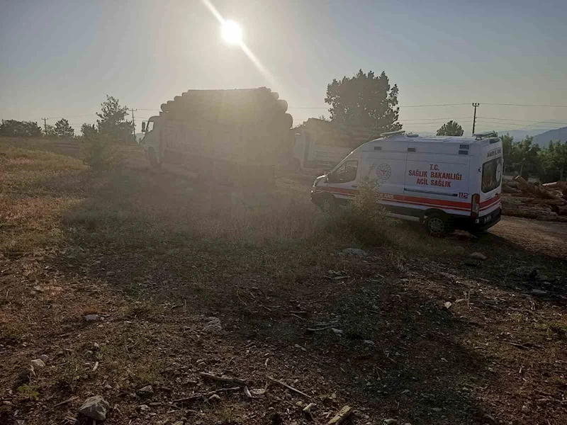 Kamyondan kayan tomrukların altında kalan 1 kişi hayatını kaybetti
