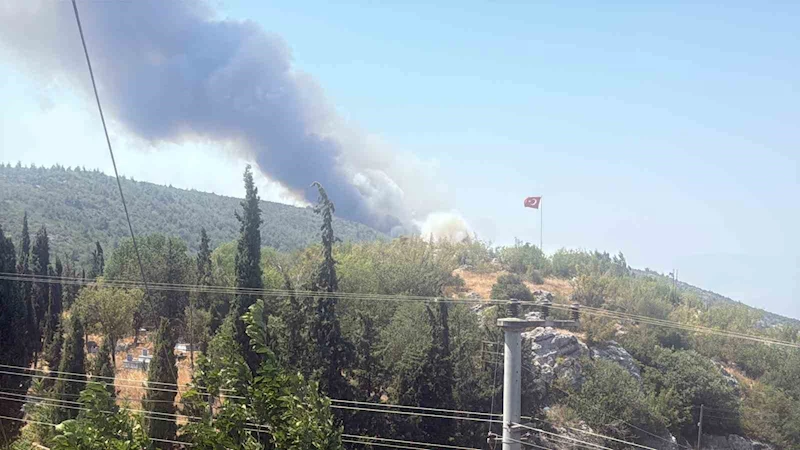 Bilecik’te alevler tavuk çiftliklerine dayandı
