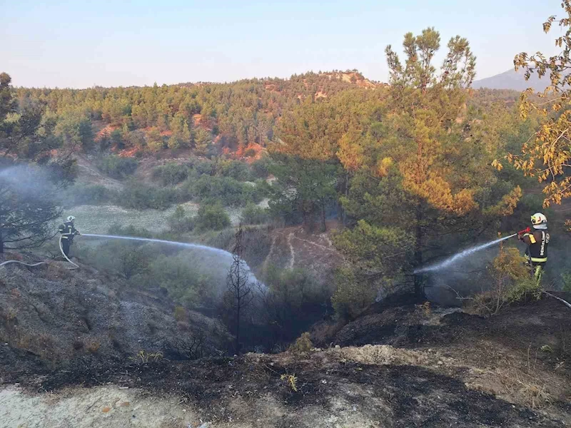 Araç yangınıyla başlayan orman yangını kısa sürede söndürüldü

