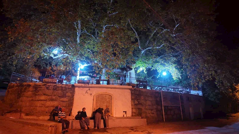 Demirci’de 2 bin yıllık anıt çınarda odun ateşinde çay
