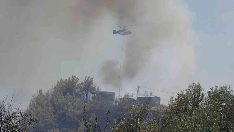 Alevler bir anda evinin yanına geldi, yaşlı adam kabusu yaşadı
