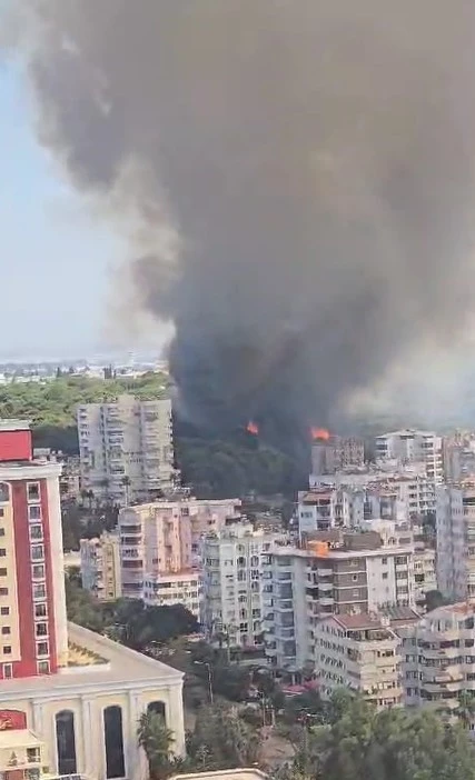 Antalya’da bir orman yangını daha
