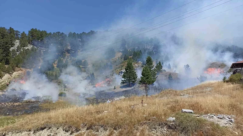 Antalya’da orman yangını
