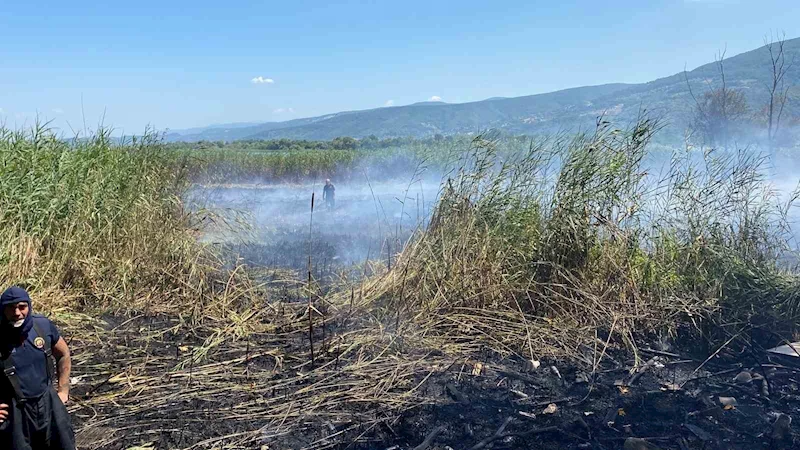 Sapanca Gölü’ndeki sazlık alanda yangın çıktı

