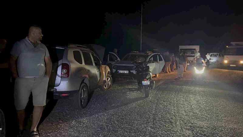 Yaban keçileri yangın sebebiyle doğal yaşam alanlarından kaçarken görüntülendi
