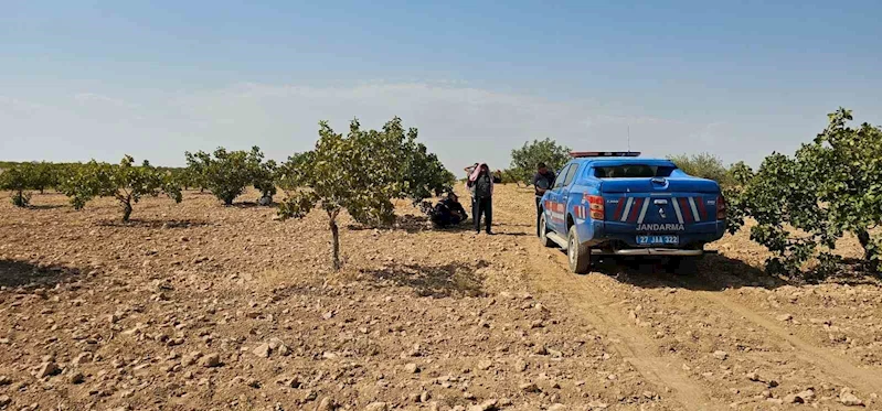 Antep fıstığı hasadı yaparken fenalaşan işçi hayatını kaybetti
