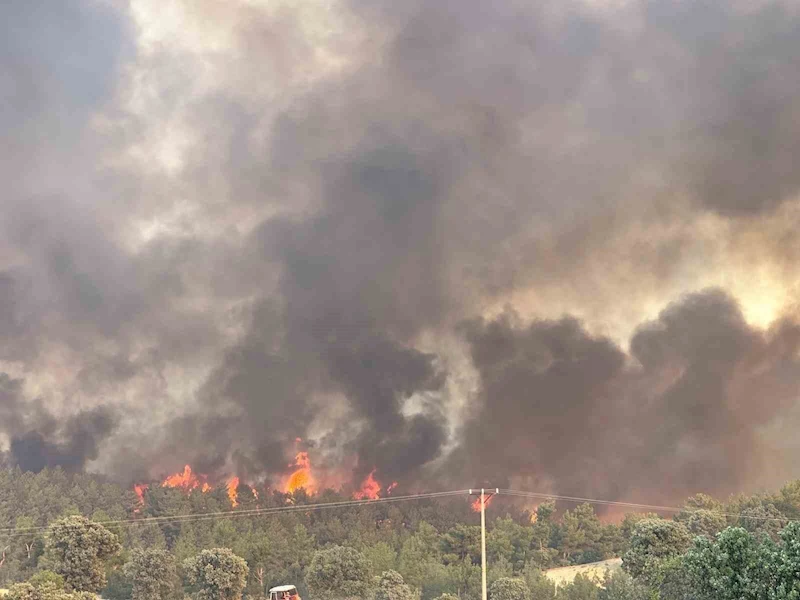 Uşak’ta devam eden orman yangınında hem tahliyeler hem de müdahale devam ediyor
