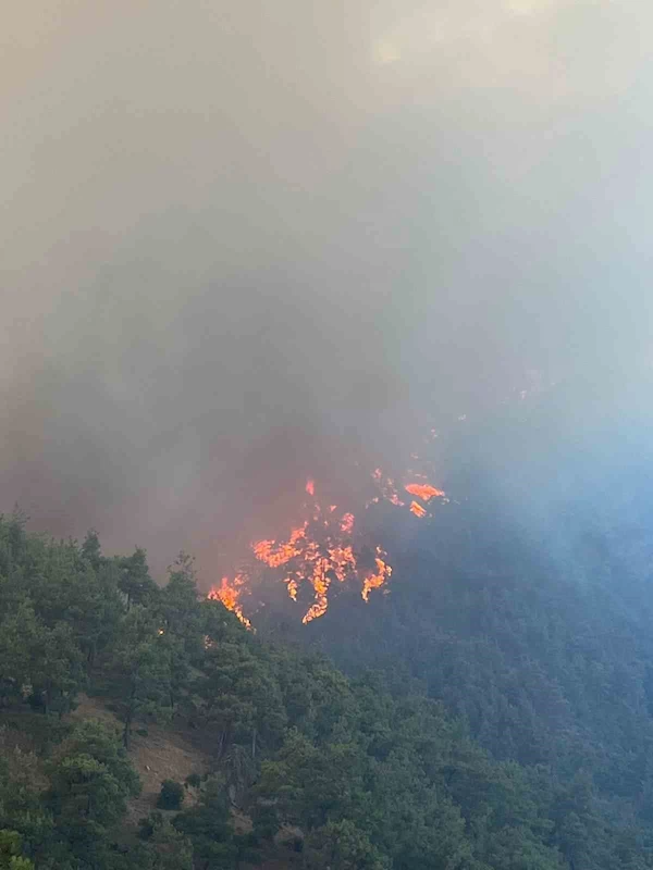 Bursa’nın ciğerleri yanıyor
