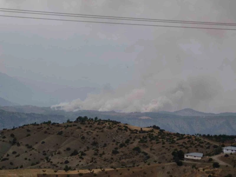 Kahramanmaraş’ta orman yangını
