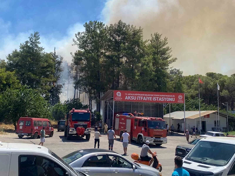 Antalya’da ormanlık alanda yangın paniği
