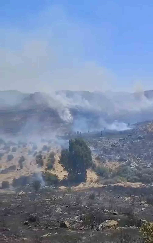 Bodrum’da otluk alanda çıkan yangın kısa sürede kontrol altına alındı
