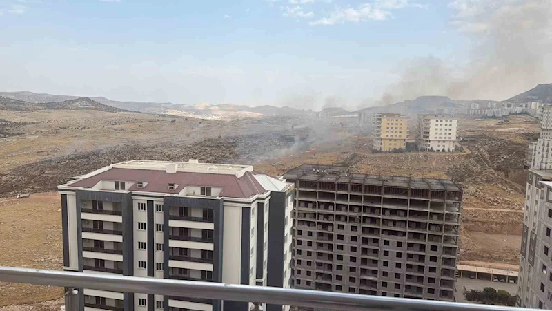 Mardin’de otluk alanda çıkan yangın söndürüldü
