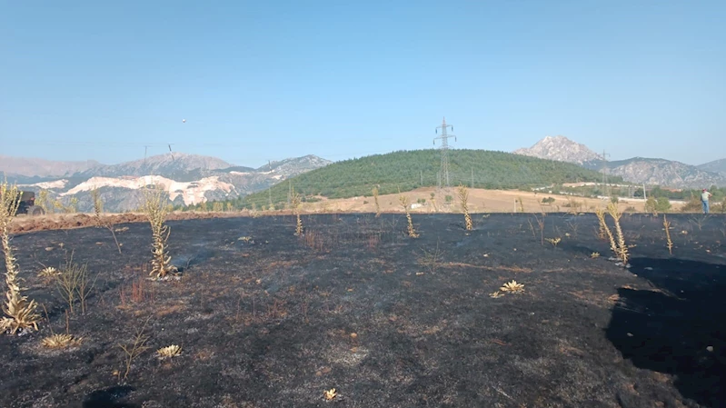 Yüksek gerilim hattına çarpan karga, 2 dönüm alanı kül etti
