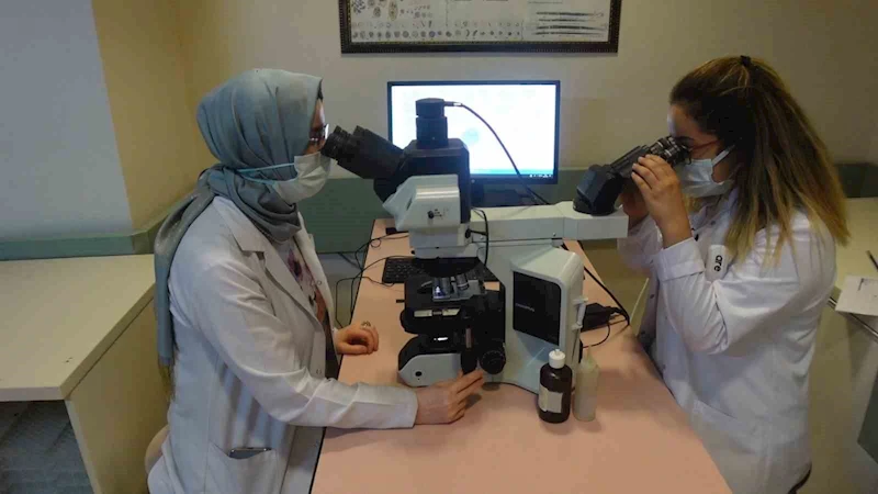 Prof. Dr. Tartar, 