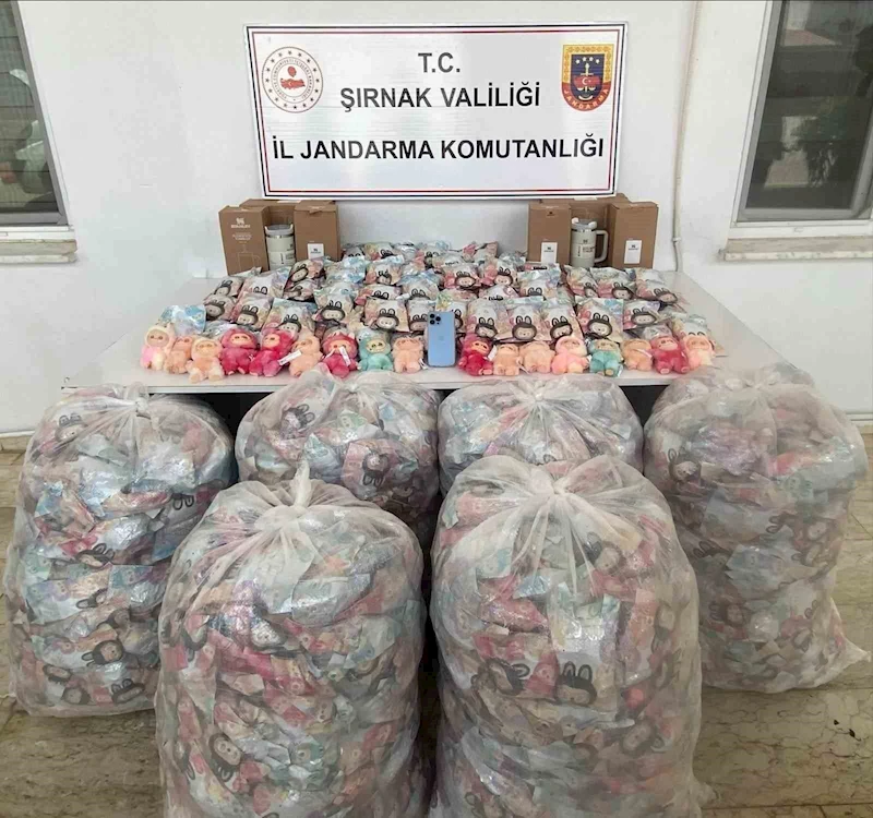 Şırnak’ta jandarmadan mali, narkotik ve kaçakçılık operasyonu
