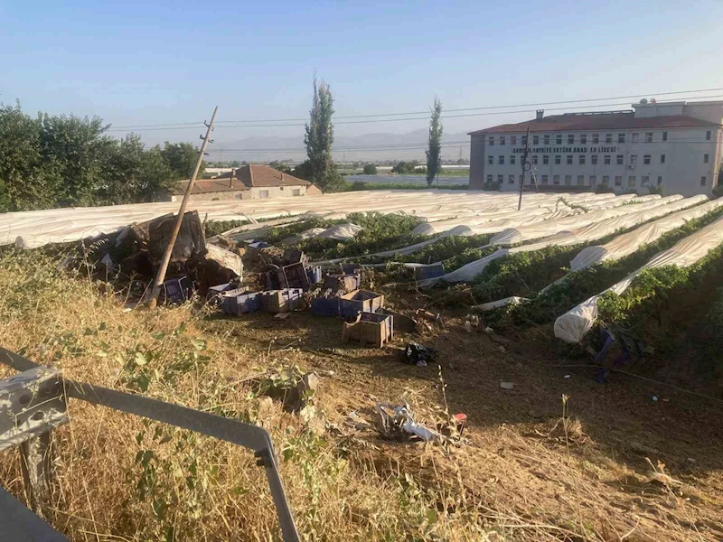 Yoldan çıkıp üzüm bağına uçan tırın şoförü hayatını kaybetti
