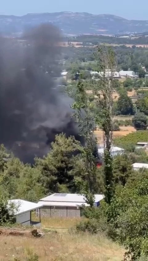 Bursa’da korkutan yangın
