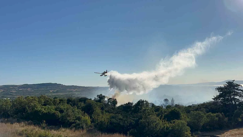 Çanakkale’de tarım arazisinde başlayarak ormanlık alana sıçrayan yangın kontrol altına alındı
