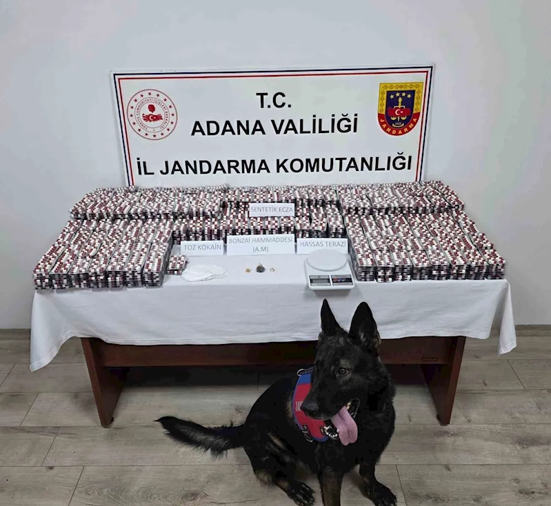 Adana’da 19 bin 167 adet uyuşturucu hap ele geçirildi: 1 tutuklama
