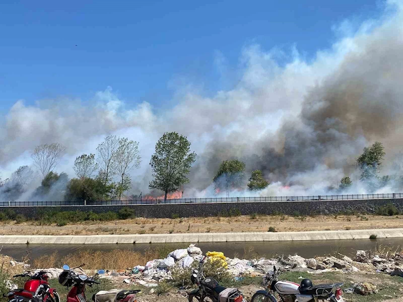 Ayvacık’ta çöplük alanda çıkan yangın ormana sıçradı
