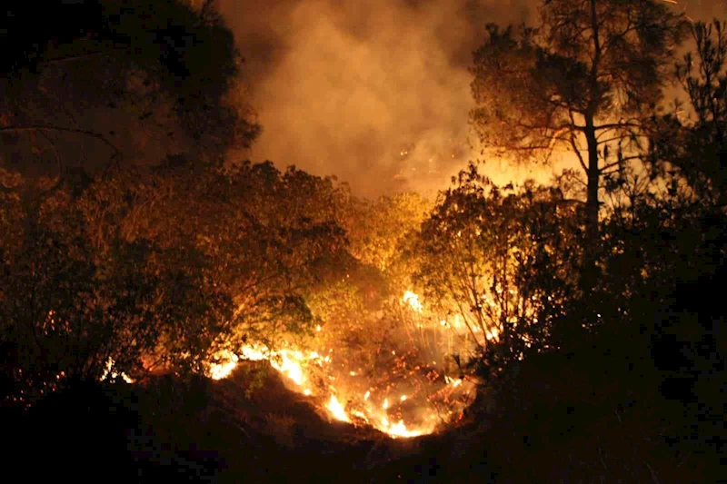 Çanakkale’de yangın etkisini sürdürüyor... Ekiplerin müdahalesi gece de sürüyor
