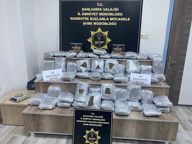 Siverek’te 28 kilo skunk ele geçirildi: 2 tutuklama
