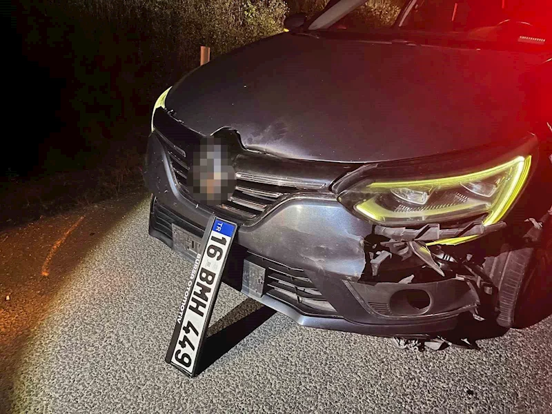 Bursa’da ayı ile çarpışan araç pert oldu, ayı telef oldu
