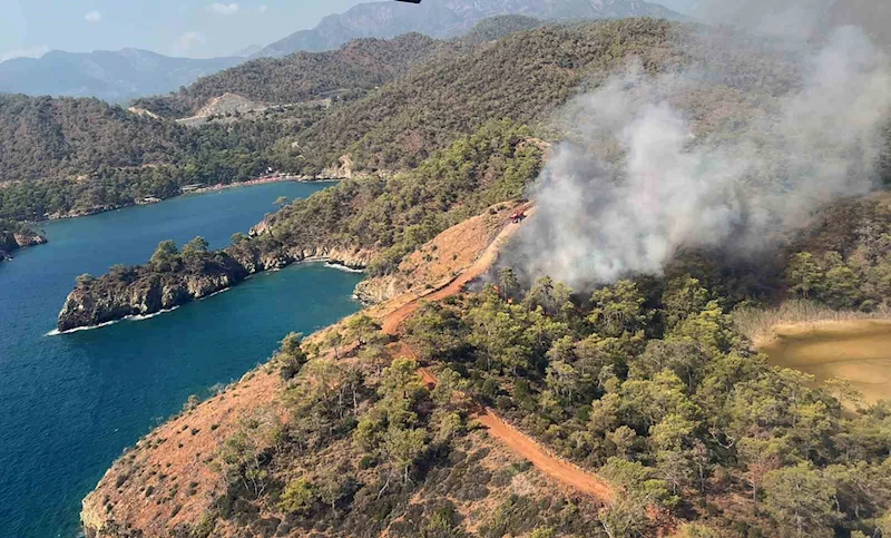 Fethiye’de orman yangını
