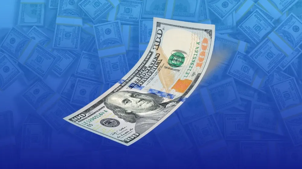 TCMB, yıl sonu dolar tahminini açıkladı!