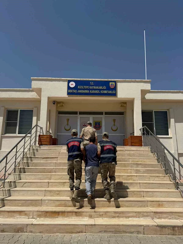 Mardin’de hayvanlara ilişkin uygunsuz paylaşım yapan şahıs gözaltına alındı
