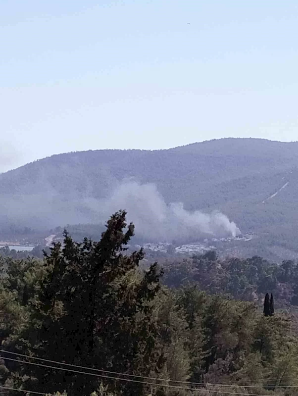 Yangın ormana sıçramadan söndürüldü
